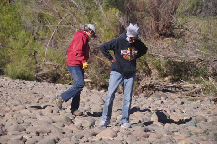 searching for rocks